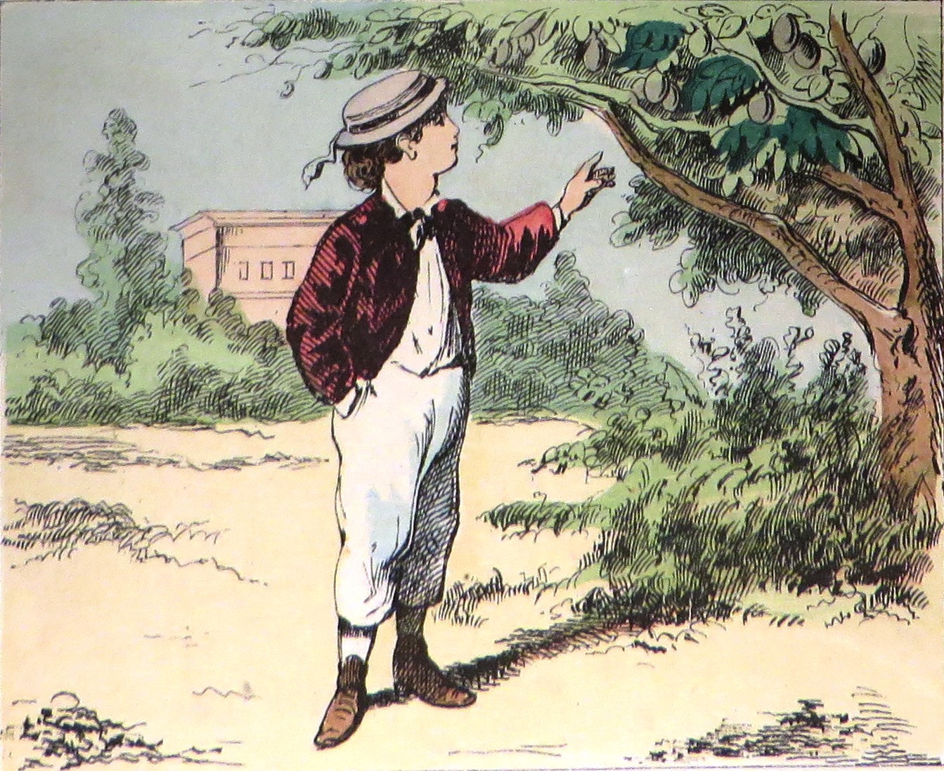 Jantje zag eens pruimen hangen